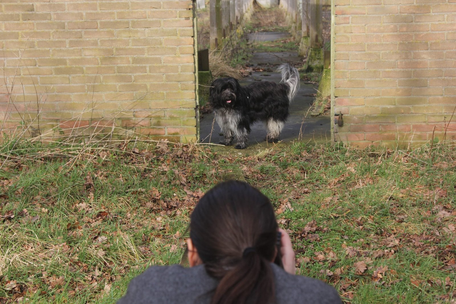 Schilderij in opdracht Joppe