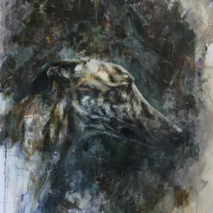 Windhond