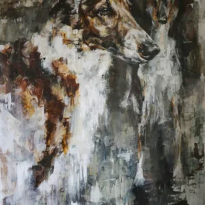 Borzoi's